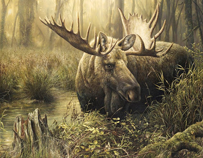 pintura-al-oleo-de-animales-salvajes pinturas--de-animales-salvajes