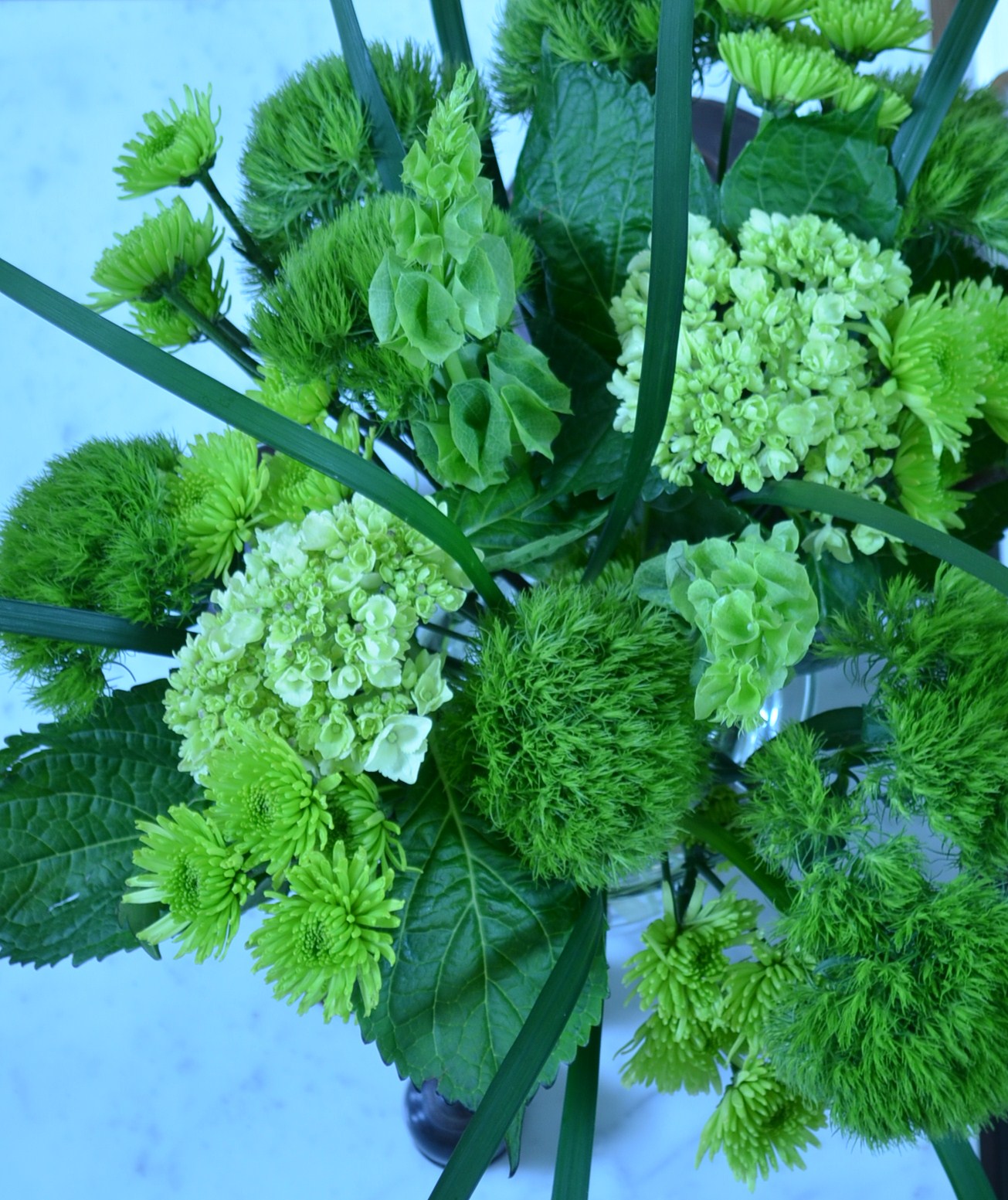 Irish Spring Flowers