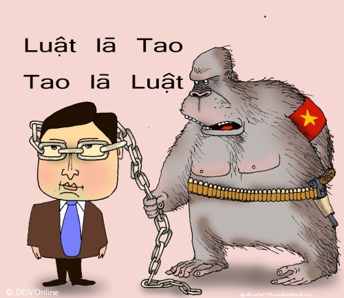 Le Cong Dinh