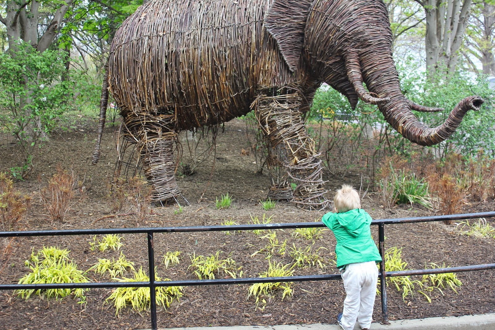 Treasuring Simplicity Visit to the Smithsonian’s National Zoo