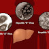 Hepatitis viruses : Types, Route of infection,Risk , Incubation & Prophylaxis Hepatitis viruses : Types, Route of infection,Risk , Incubation & Prophylaxis