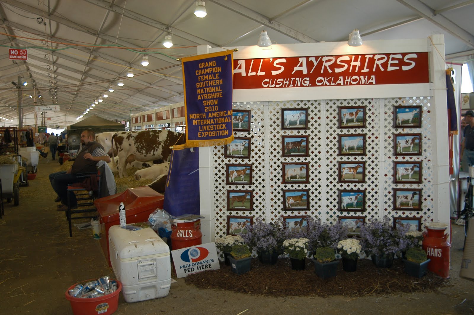 Dairy Star at World Dairy Expo