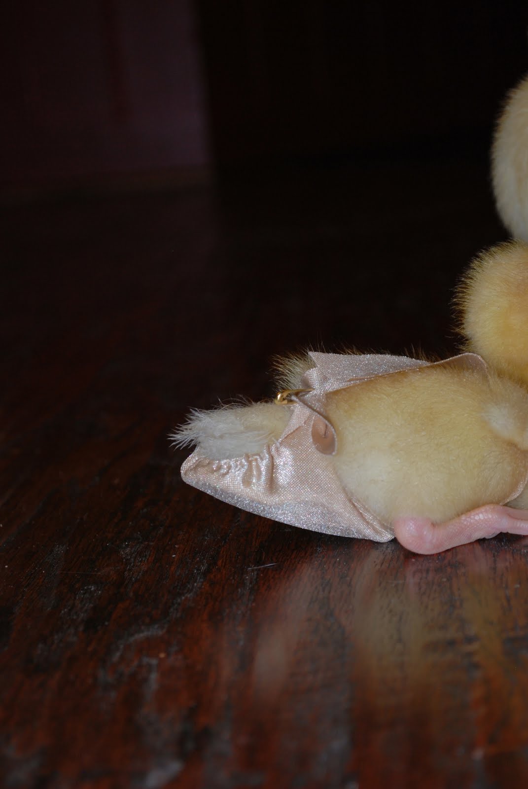 Sam's Story Ducks in Diapers, Duh