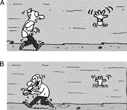 observation vs inference