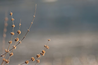 ubuntu 12.04 wallpaper