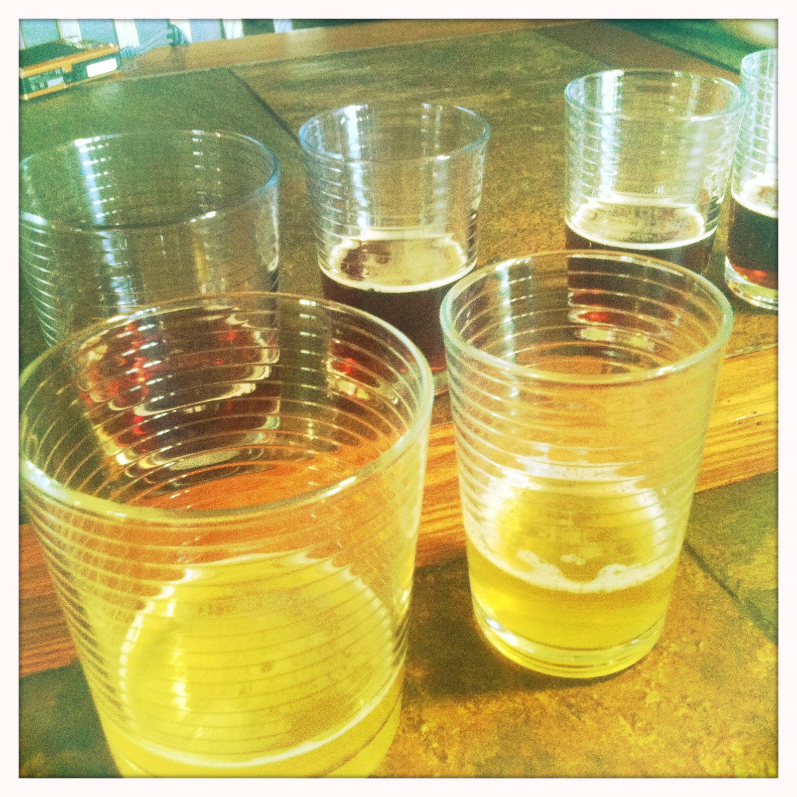 The Fermentary Sour Beer 101 Yeast vs. Bacteria