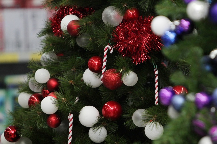 Palavras e origens: A raiz etimológica da árvore de Natal