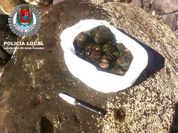 Mujer multada por coger lapas de Las Canteras Mujer multada por coger lapas de Las Canteras