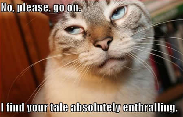 Funny Animal Memes Funny Animal Memes