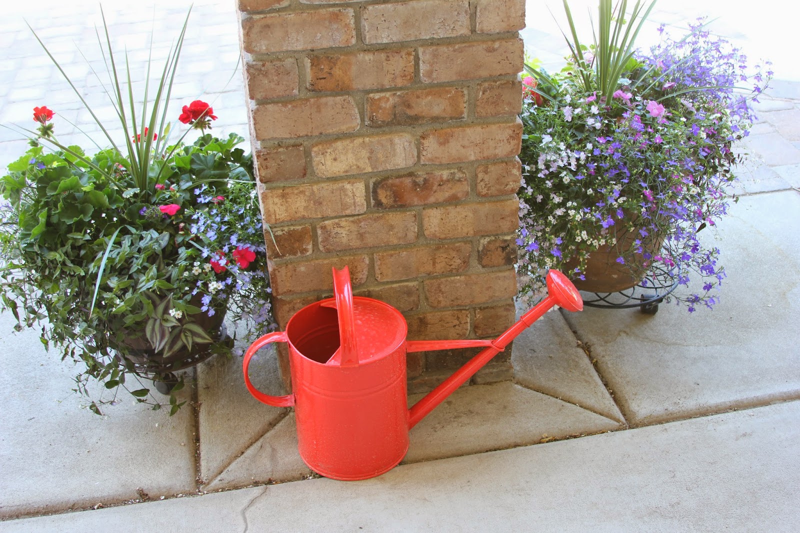 Time of Our Lives Backyard Garden Tour