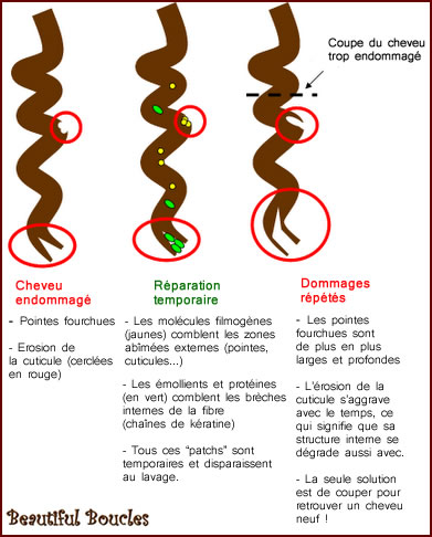Le masque le cheval-vapeur pour les cheveux comme souvent