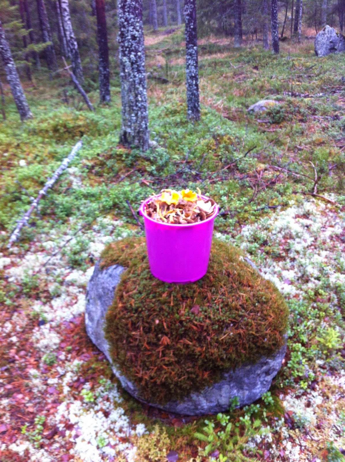Sjögången