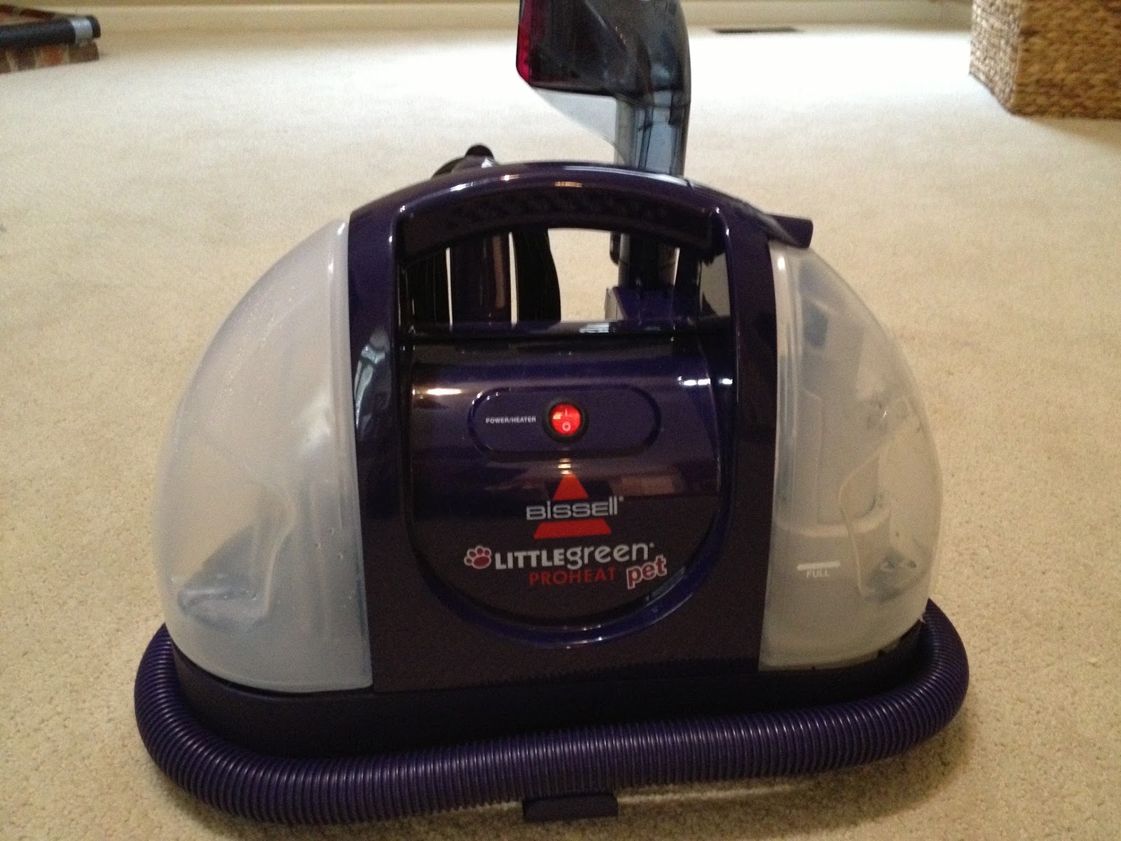 The DIY Guinea Pig Carpet Spot Cleaner