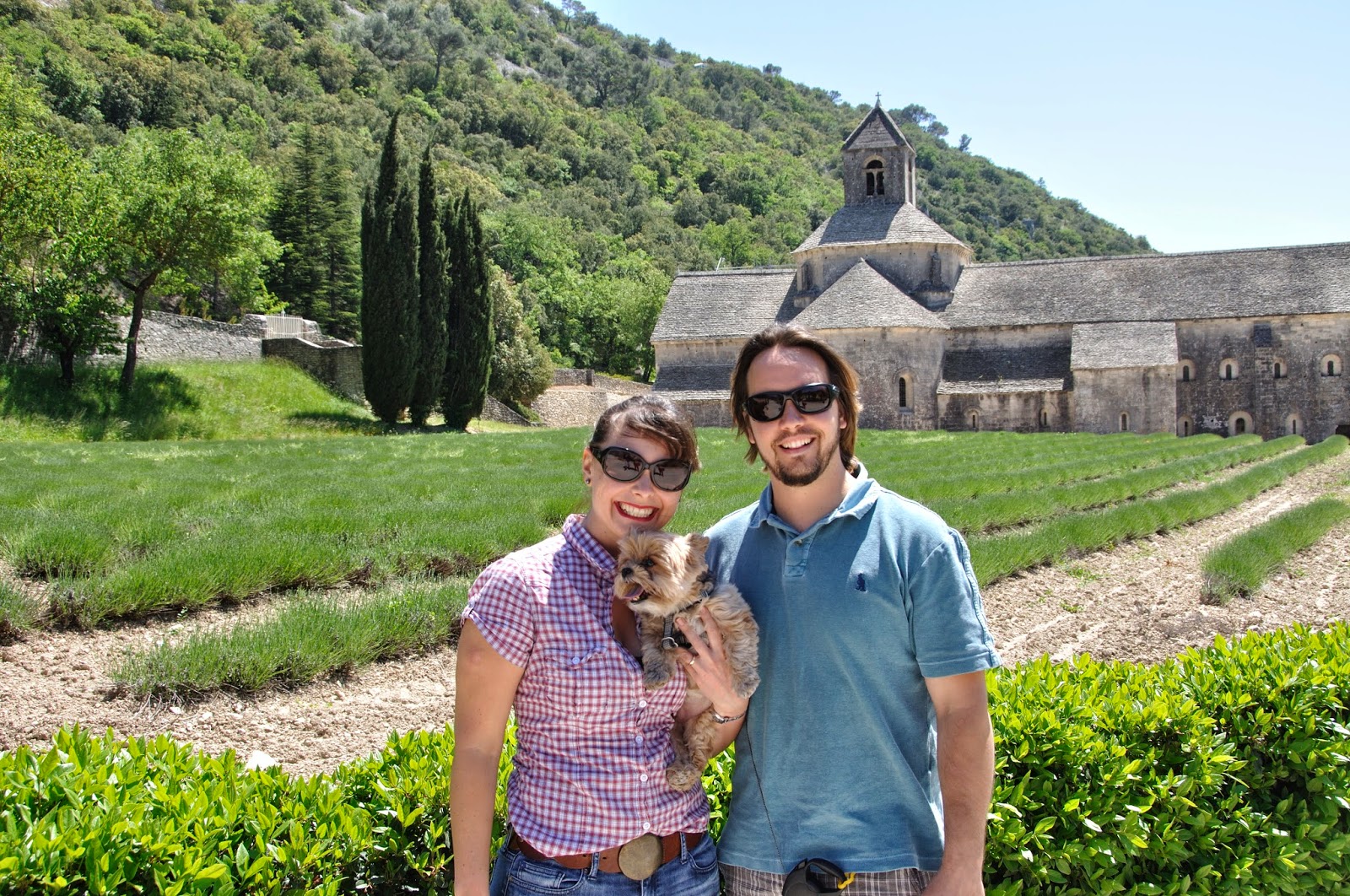 Abbaye de Sénanque, Gordes, France