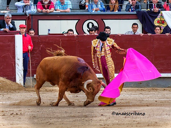GONZALEZ SANCHEZ DALP gonzalez sanchez dalp: