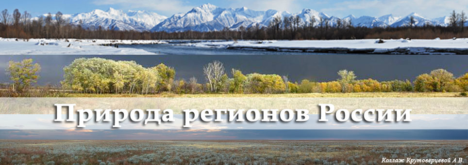 Природа регионов России