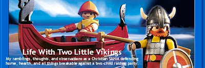 Life With Two Little Vikings