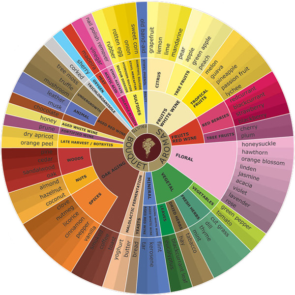 Wine info Wine informations
