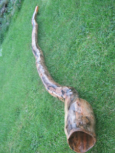 Driftwood Didgeridoos
