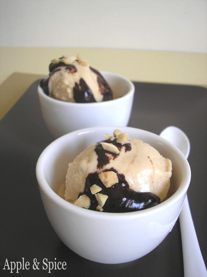 Apple & Spice Peanut Butter Ice Cream with Chocolate Sauce & Salted Peanuts