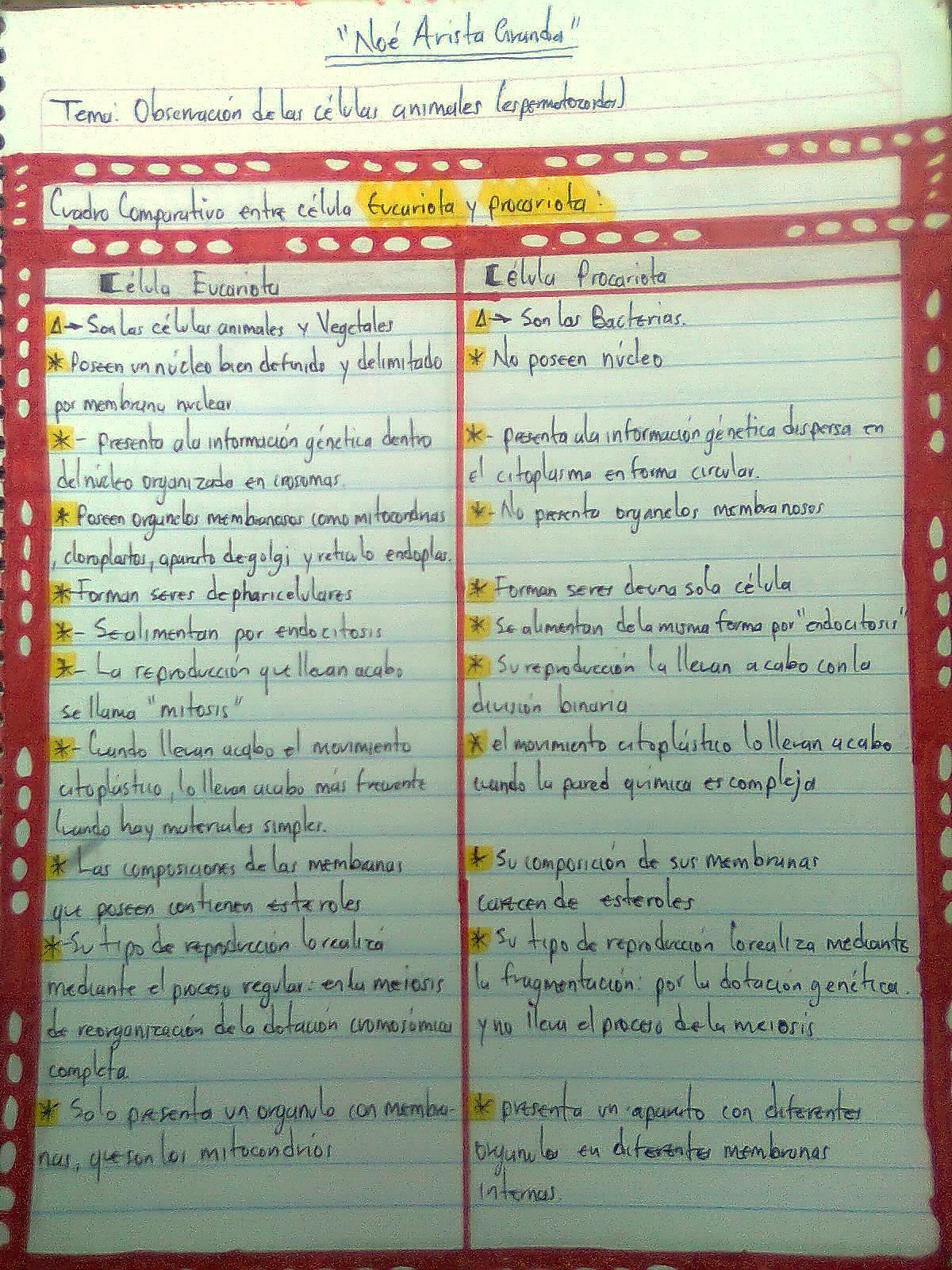 cuadro comparativo entre celula eucariota y procariota
