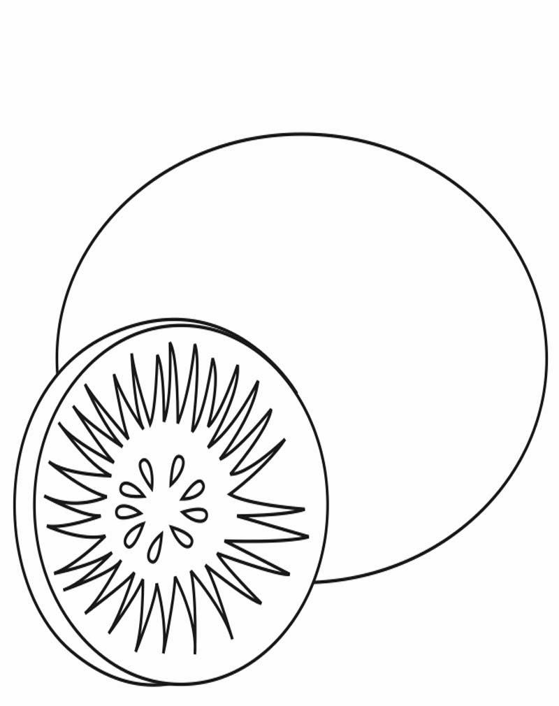 Mewarnai Buah Kiwi Terupdate Untuk Anak Tk