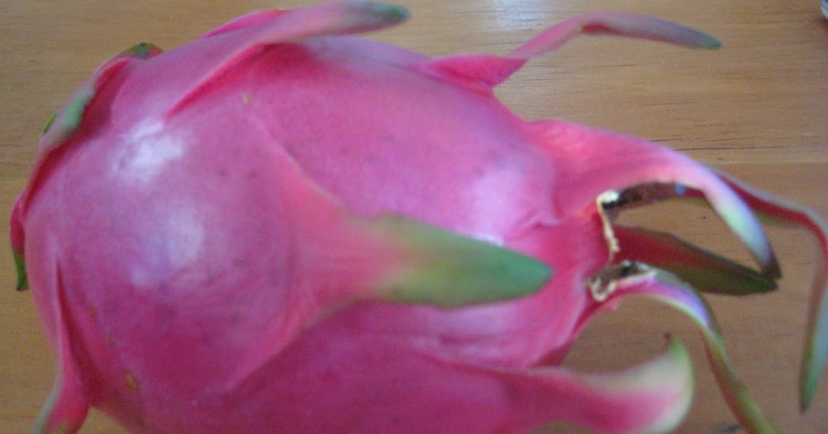 Night Blooming Cereus & Dragon Fruit Ho'okipa Aikane on Maui Hawaii