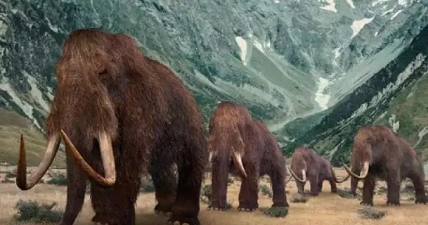 Ice Age Park: Επιστήμονες επιχειρούν να φέρουν στη ζωή μαμούθ Ice Age Park: Επιστήμονες επιχειρούν να φέρουν στη ζωή μαμούθ