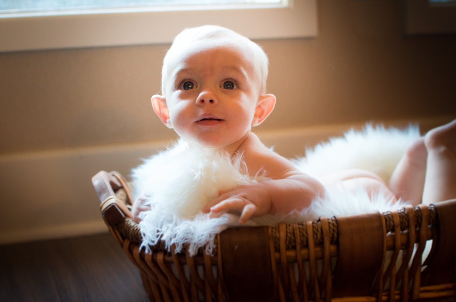 Erin cobb photography huntsville al Erin cobb photography huntsville al