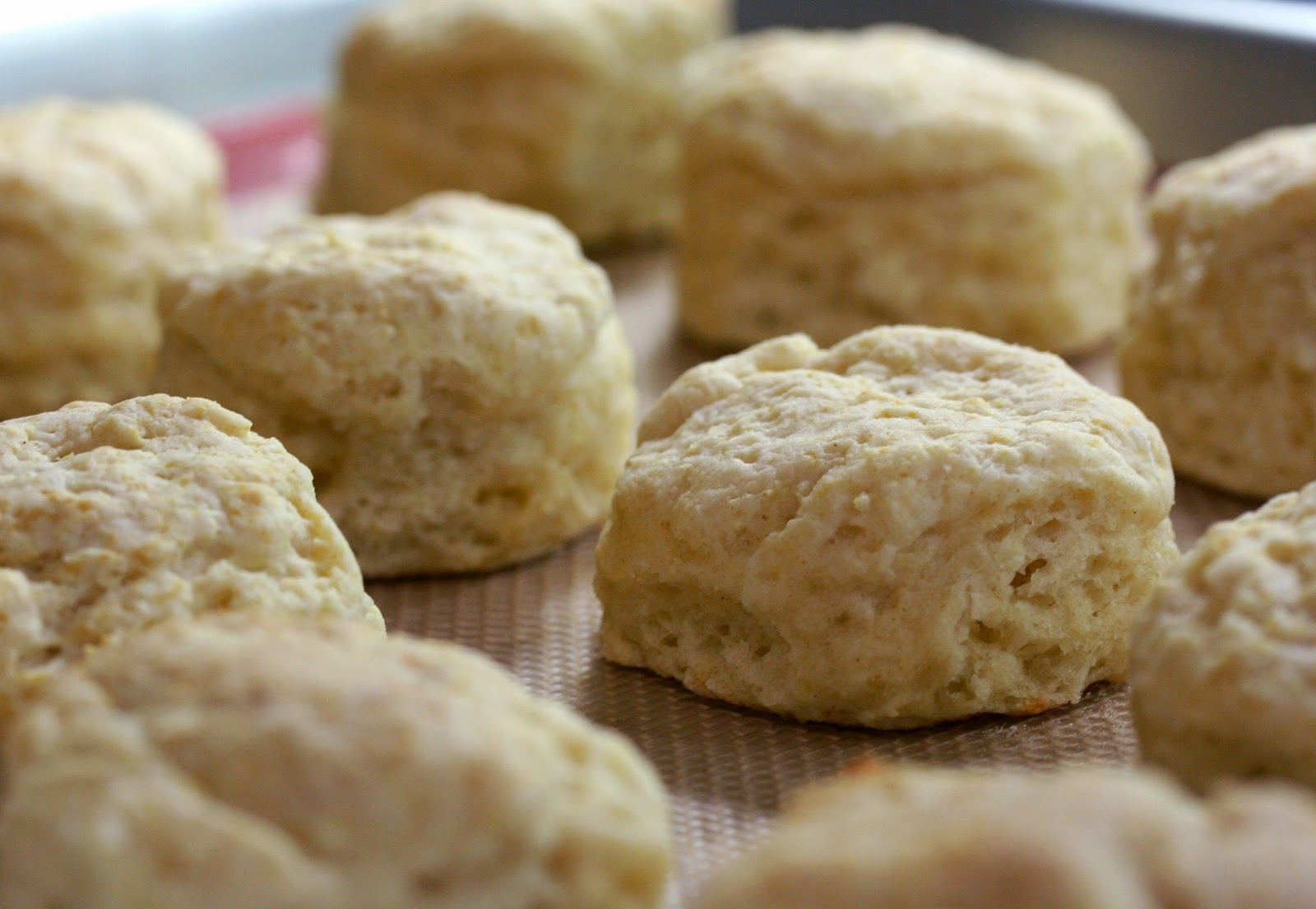 Culturally Confused Alton Brown Southern Biscuits