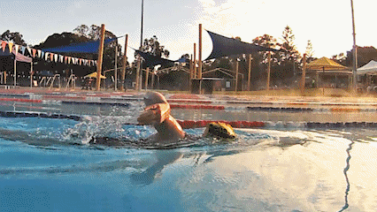 Swimmer lifting head clear to breathe Swimmer lifting head clear to breathe