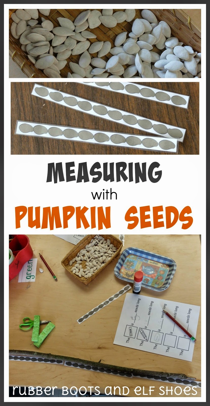 pumpkin seed measuring rubber boots and elf shoes