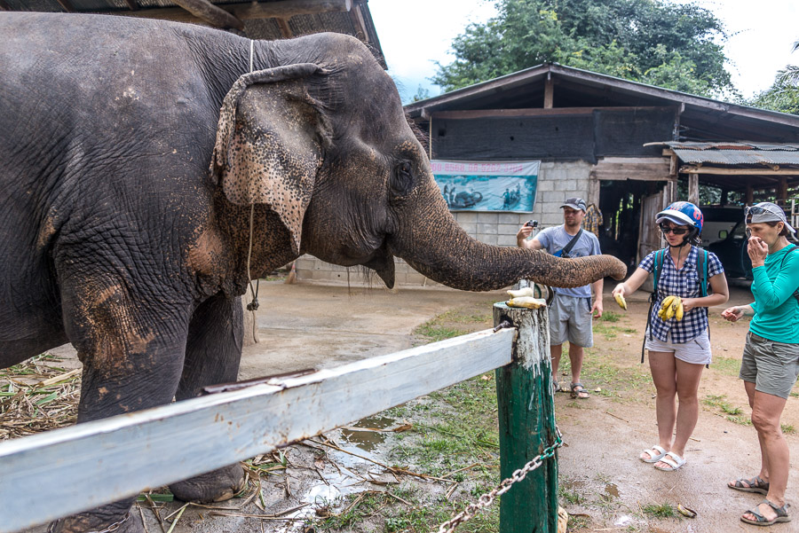 A trip to the neighborhood of the Pai