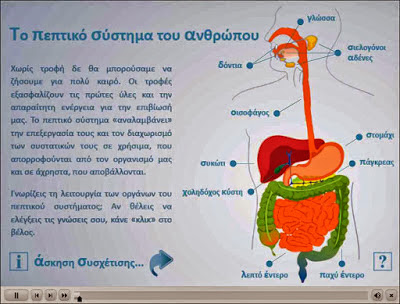 http://ebooks.edu.gr/modules/ebook/show.php/DSDIM-E107/559/3671,15945/extras/Evaluation/kef4_digestive_system/Kef_4_digestive_system.htm