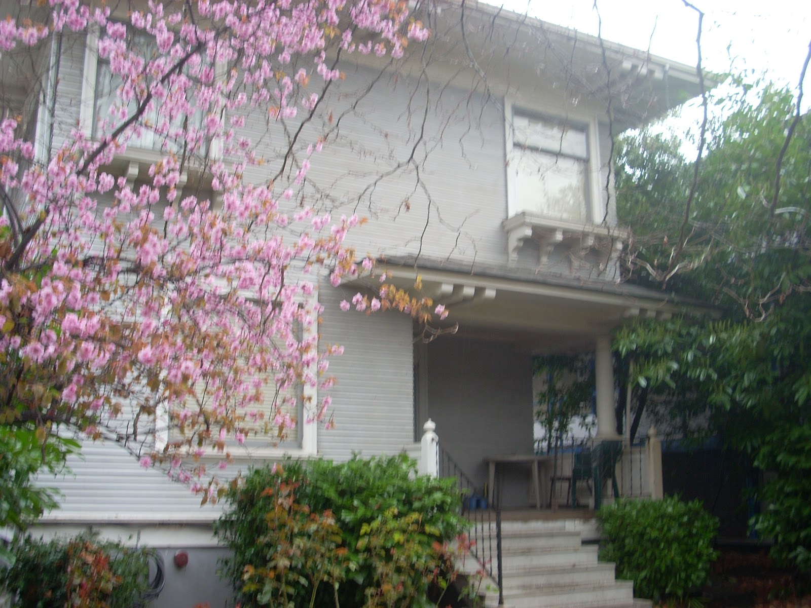 Stalking Seattle Ted Bundy The Seattle Years