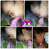 Al kisah budak nak tumbuh gigi lagi..