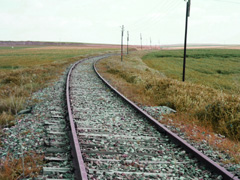 vía de tren en pleno campo que lleva a la estación de trenes y autobuses con dirección a la ciudad