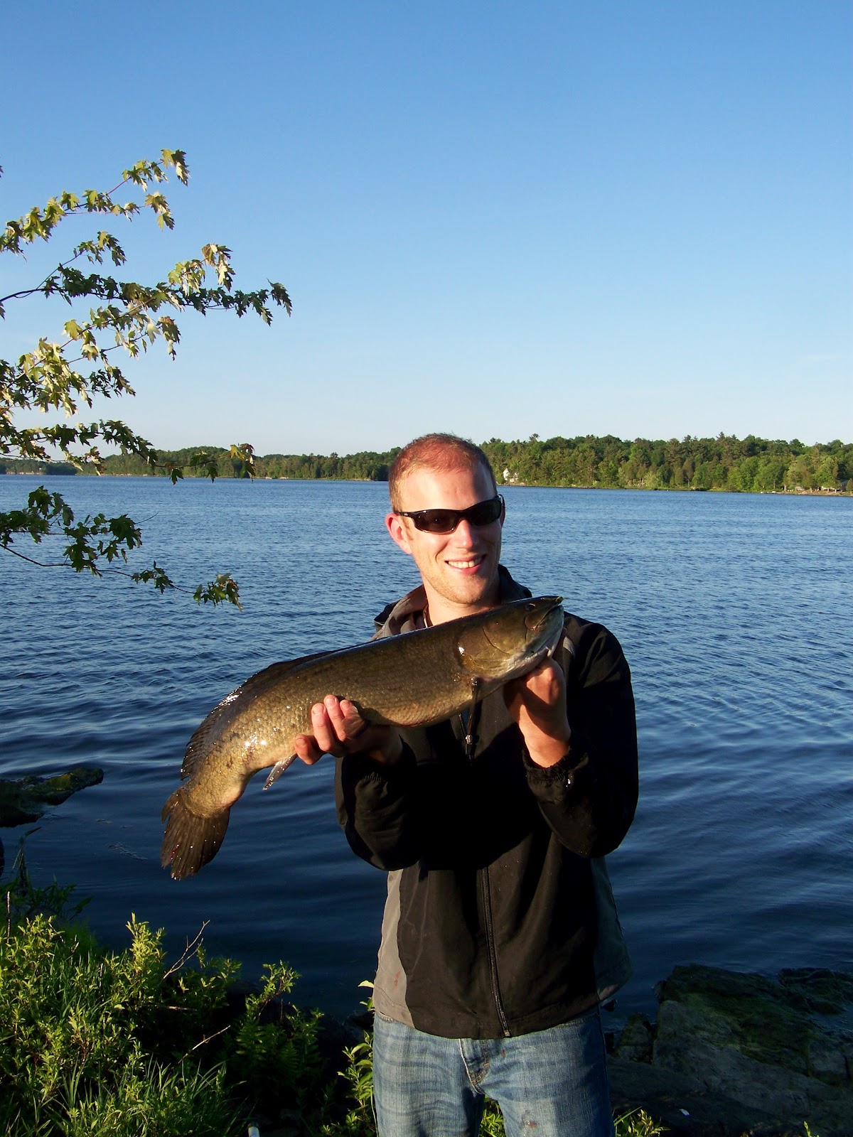 triple black bowfin