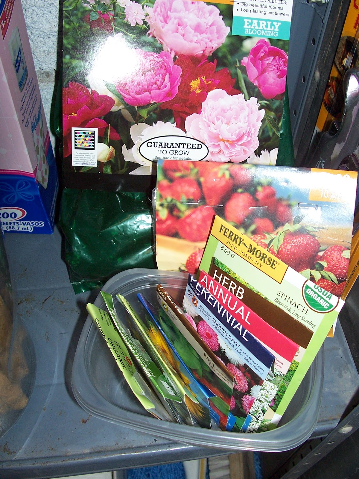 pressed petals LT “Bulbs. Dig, Drop, Done.” Presents Curbside Chaos!