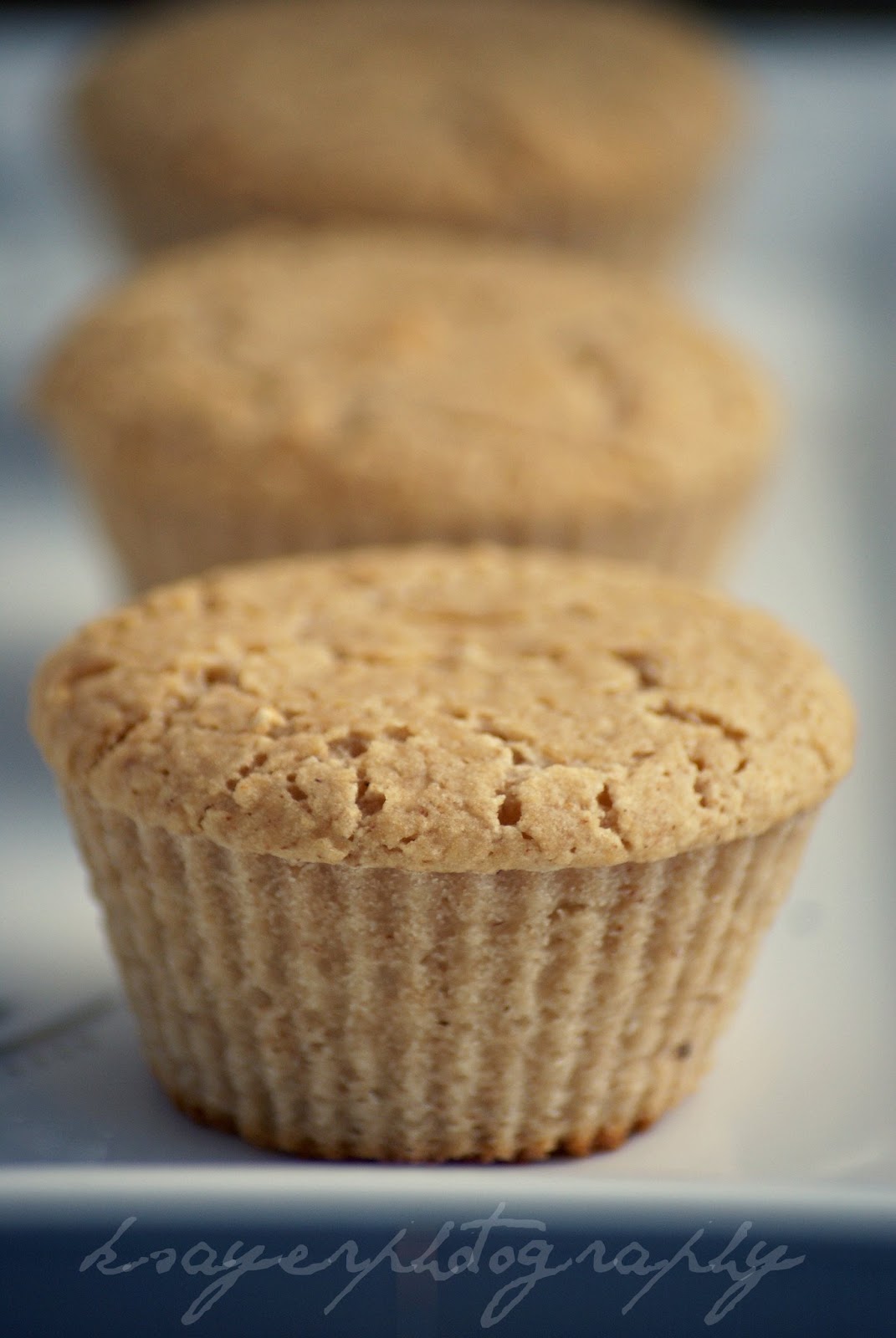 Southern In Law Recipe Moist Vanilla Yogurt Cupcakes (or Muffins! or Cake!)