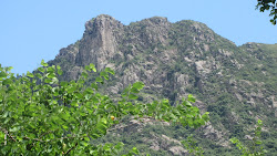 Lion Rock