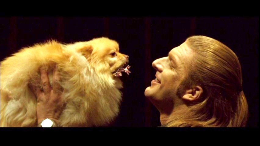 PauL LevesquE 2013 | Triple H ~ Sports Wallpapers | Events Wallpapers