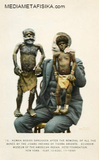 Misteri Atta Boy, Sepupu Alien Mungil dari Gurun Atacama Misteri Atta Boy, Sepupu Alien Mungil dari Gurun Atacama
