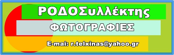 ΡΟΔΟΣυλλέκτης (Φωτογραφίες)