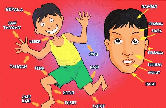 Dunia Sains Dan Teknologi Tahun 1 Tajuk 2 Manusia