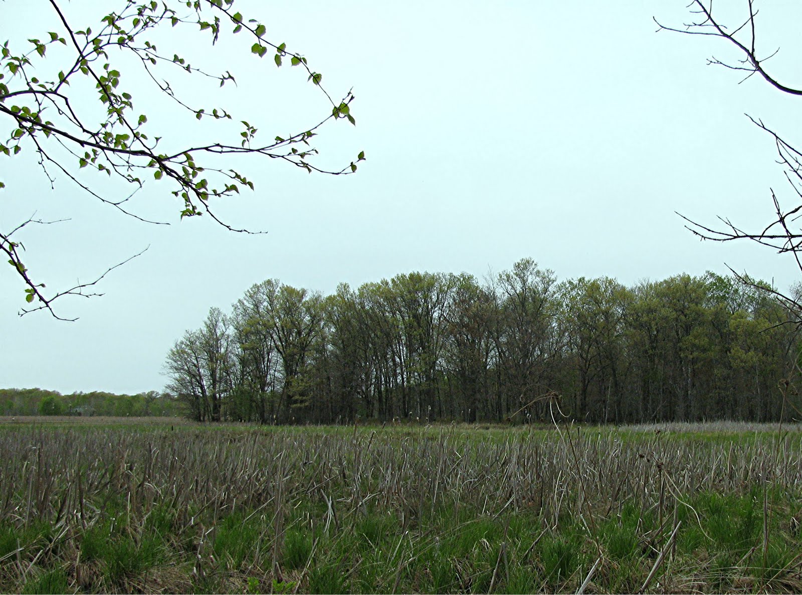 Tips for Buying a Foreclosed Home on Minnesota Acreage