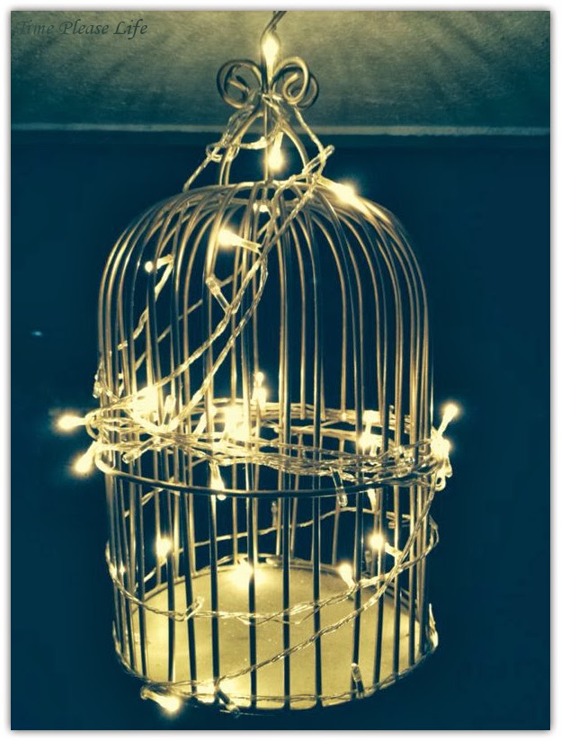 Time Please Life Diy Bird Cage Chandelier Diy Bird Cage Chandelier