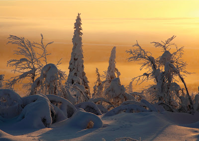 Snow cover from Frozen Planet