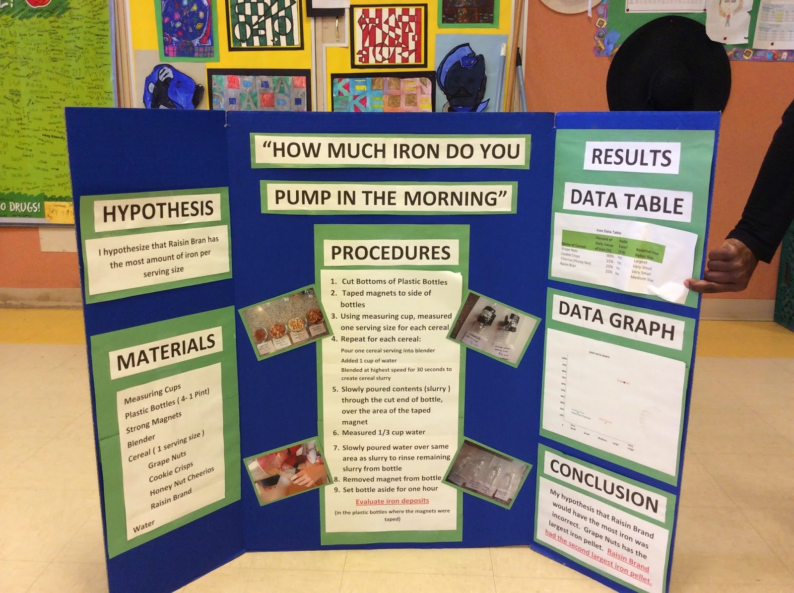 Buy a completed science fair project