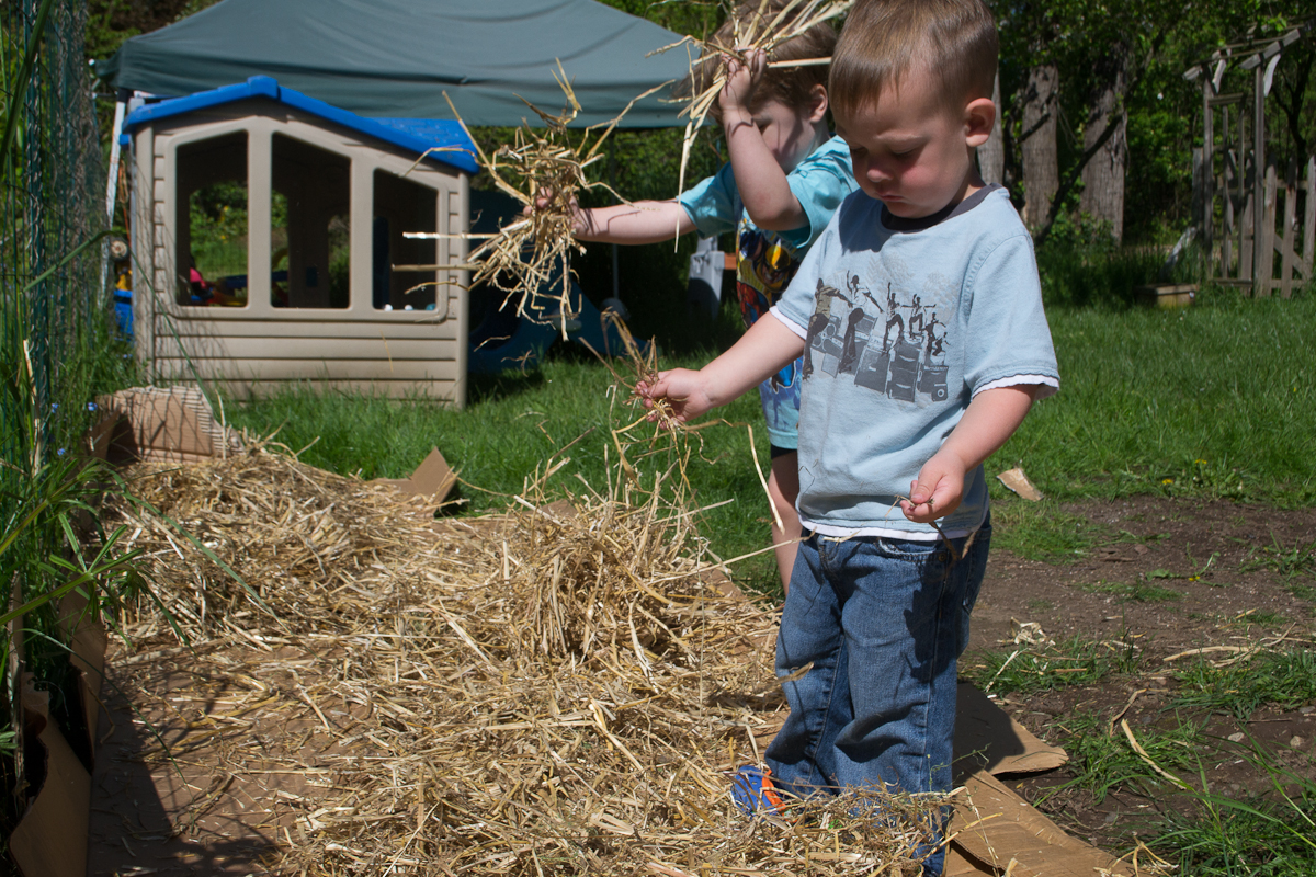 TRULY ORIGINAL ORGANICS Back yard Straw Garden